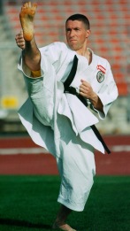 Ewald Roth (Вена), 8-й ДАН